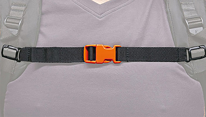 Image of Chest Strap